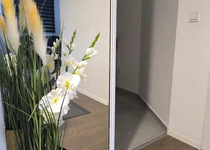 Apartman Stan Na Dan Alipasino Polje Sarajevo